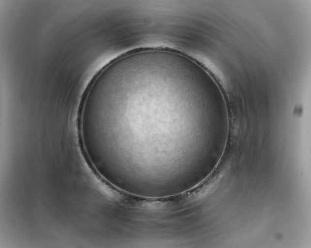 X0000102390943200808011557