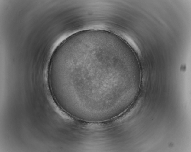 X0000102390944200808011557