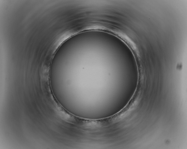 X0000102390945200808011557