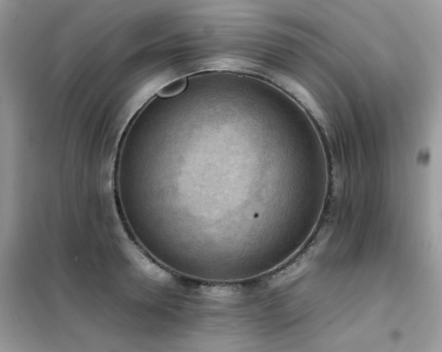 X0000102390946200808011557