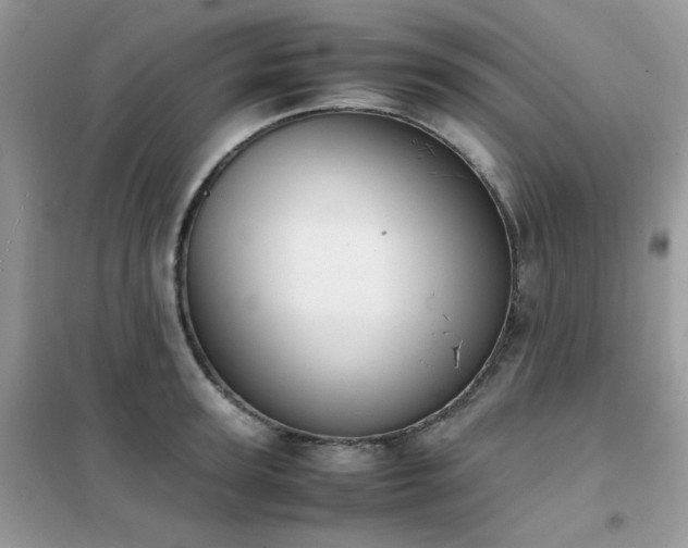 X0000102390947200808011557