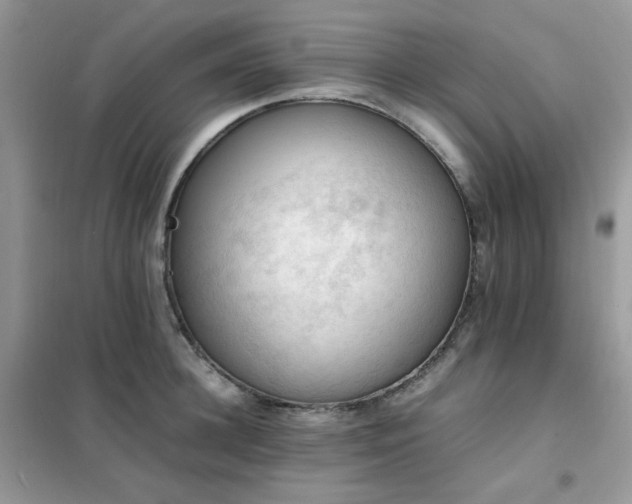 X0000102390948200808011557