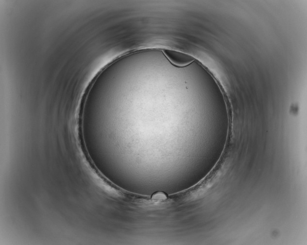 X0000102390949200808011557