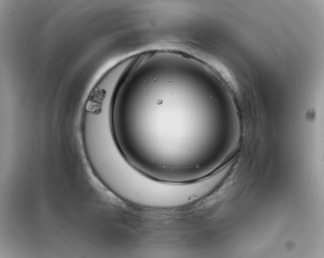 X0000102390950200808011557