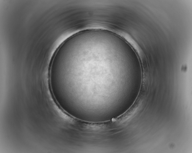 X0000102390951200808011557