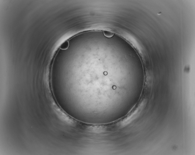 X0000102390952200808011557