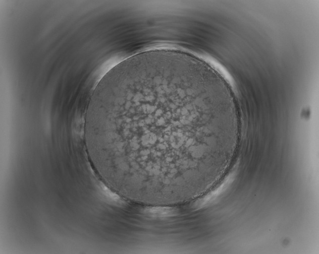 X0000102390953200808011557