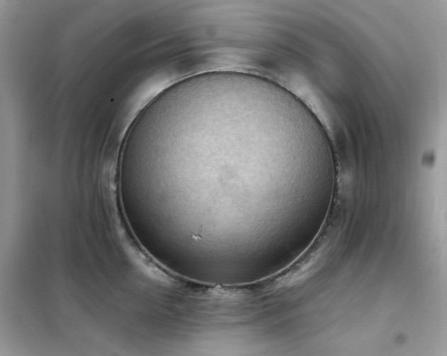 X0000102390954200808011557