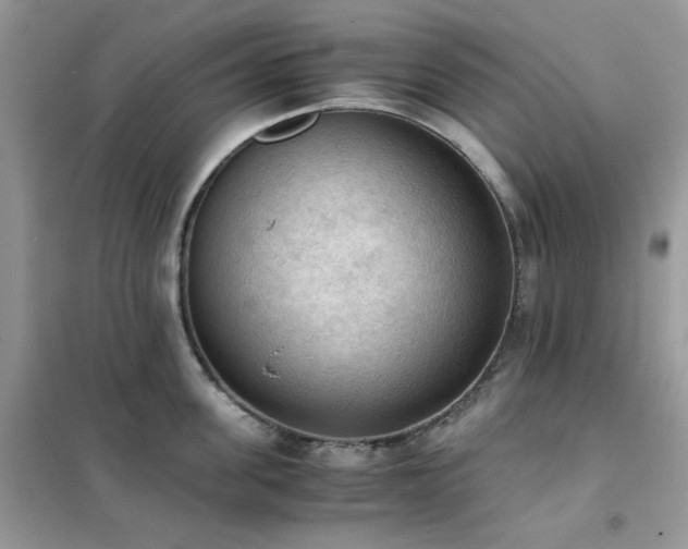 X0000102390955200808011557