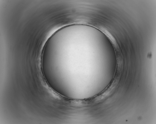 X0000102390956200808011557