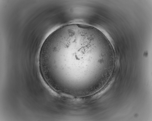 X0000102390957200808011557