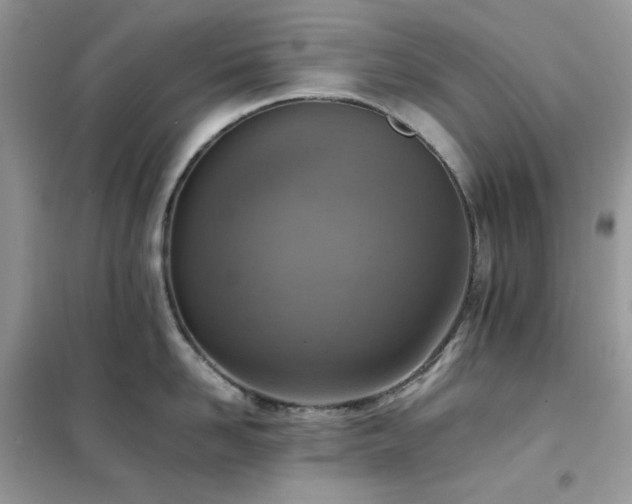 X0000102390958200808011557