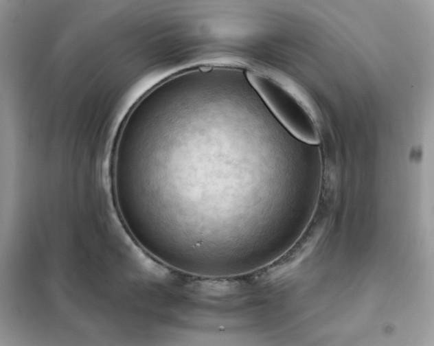 X0000102390959200808011557