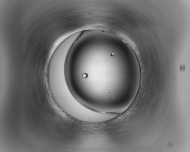 X0000102390960200808011557