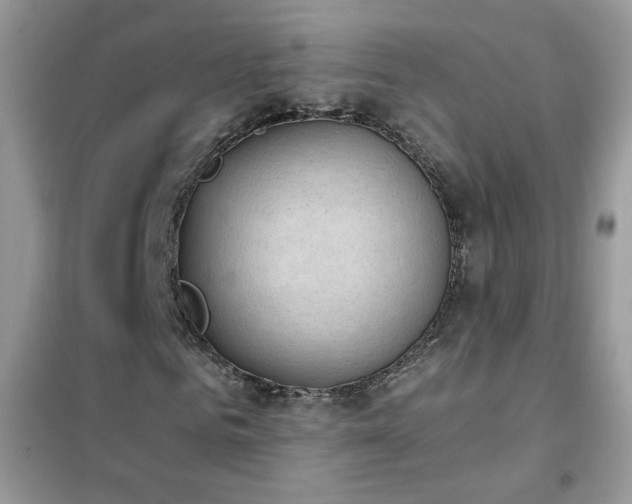 X0000102390961200808011556