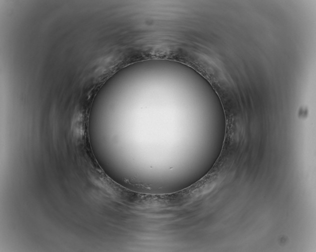 X0000102390962200808011556