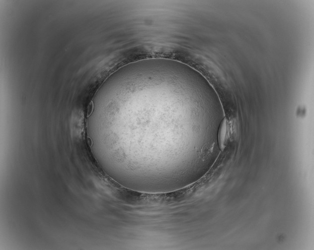 X0000102390963200808011556