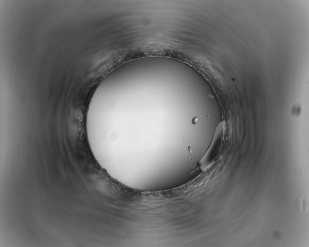 X0000102390964200808011556