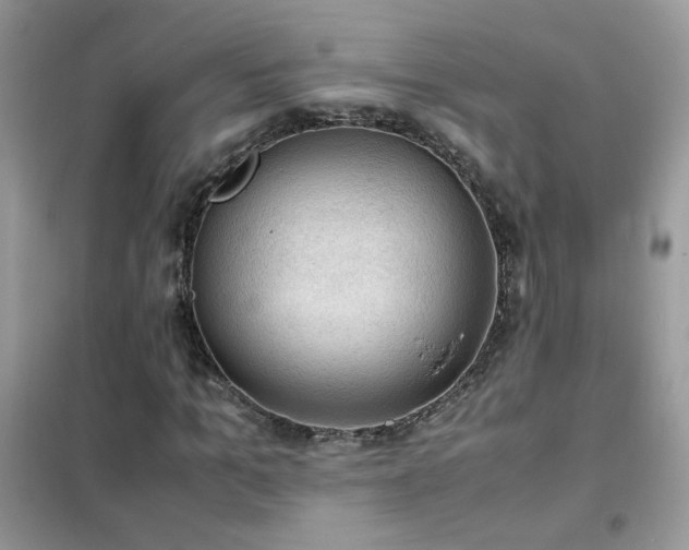 X0000102390965200808011556