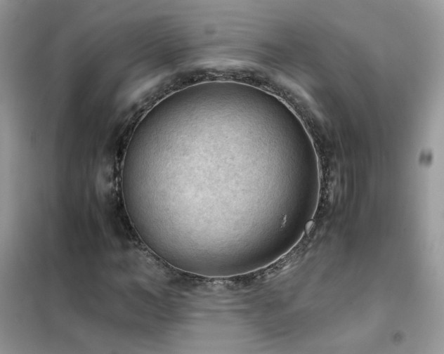 X0000102390966200808011556