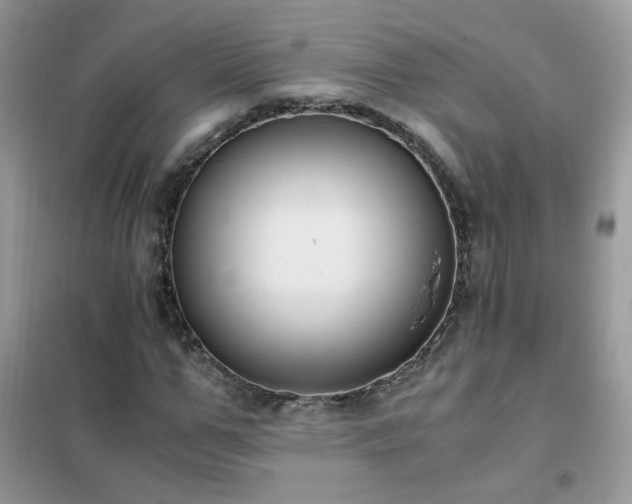 X0000102390967200808011556