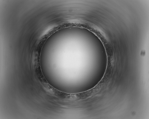 X0000102390968200808011556