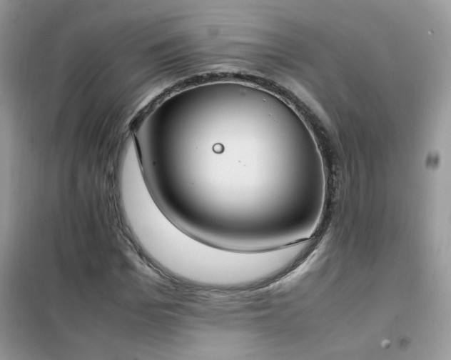 X0000102390969200808011556