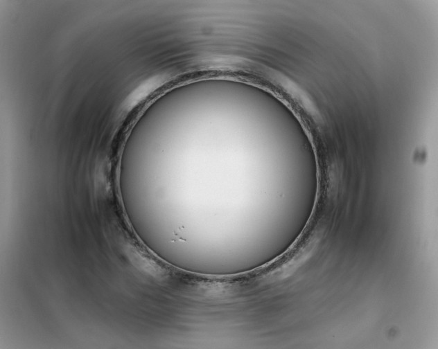 X0000102390970200808011556