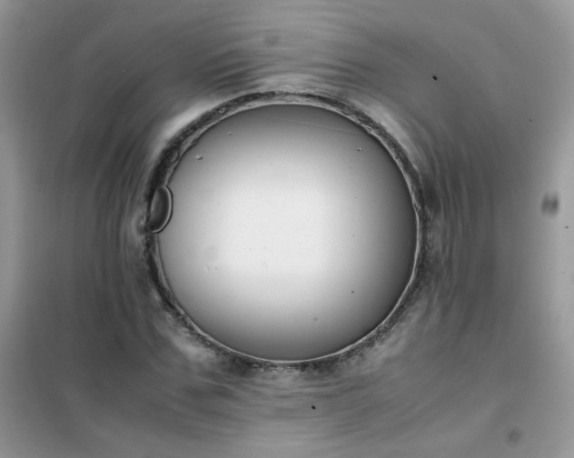 X0000102390971200808011556