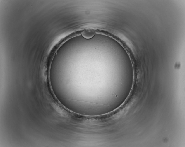 X0000102390973200808011556