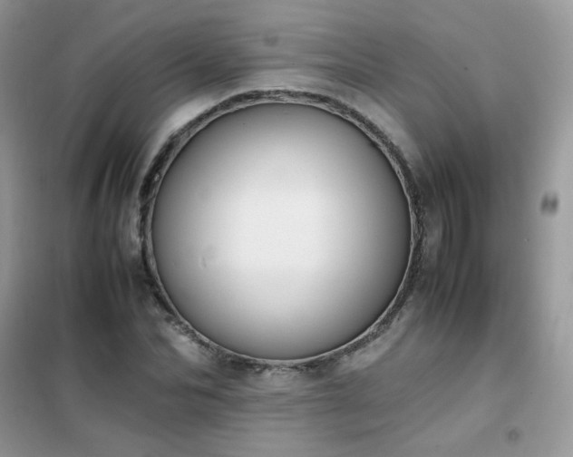 X0000102390974200808011556