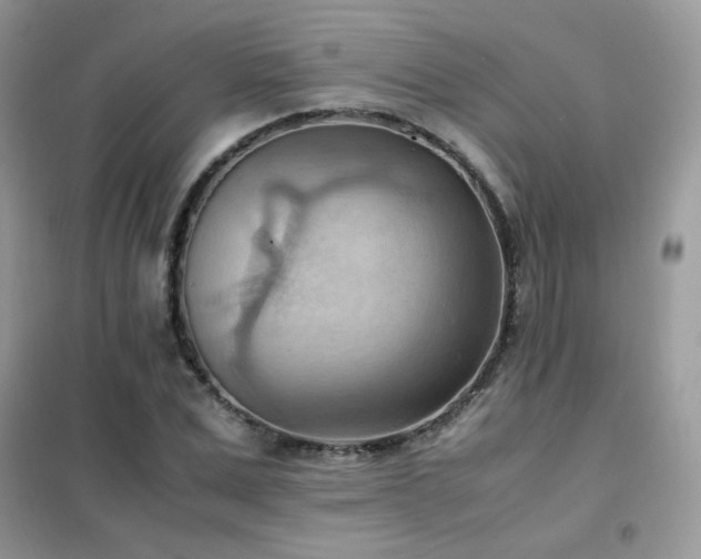 X0000102390975200808011556