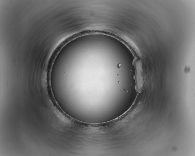 X0000102390976200808011556