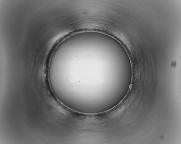 X0000102390979200808011556