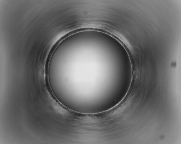 X0000102390980200808011556