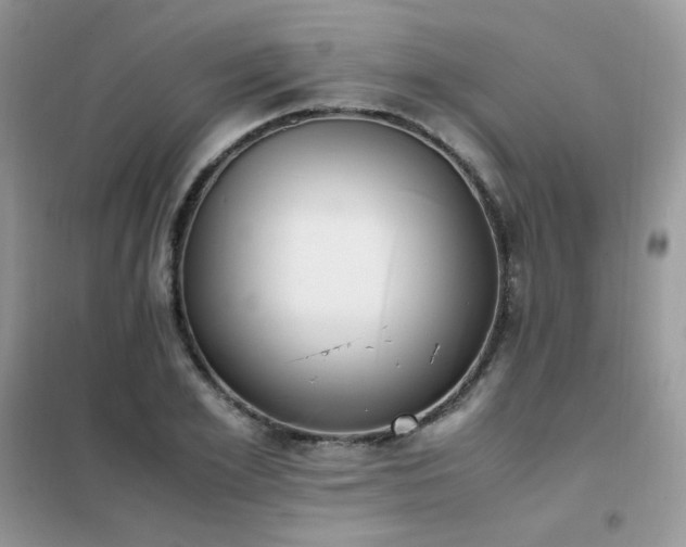 X0000102390981200808011556