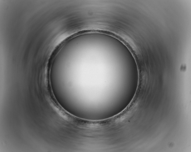 X0000102390982200808011556