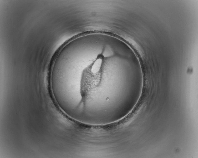 X0000102390983200808011556