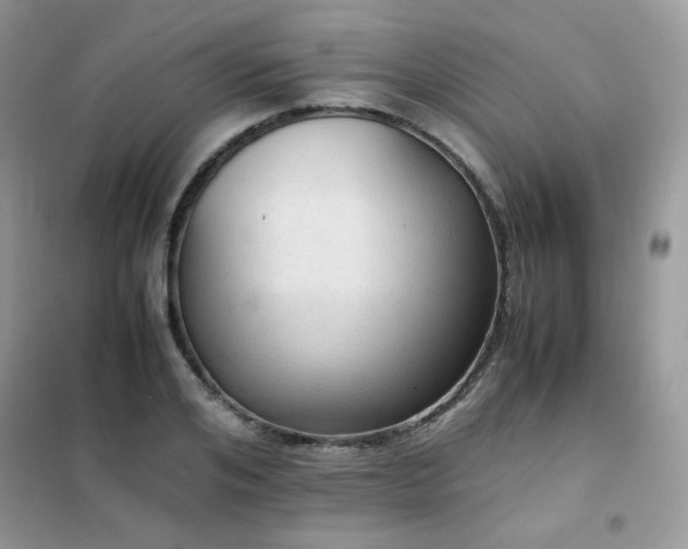 X0000102390984200808011556