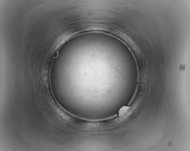 X0000102390985200808011556