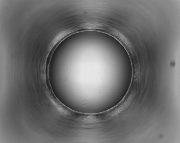 X0000102390986200808011556