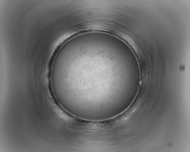 X0000102390987200808011556