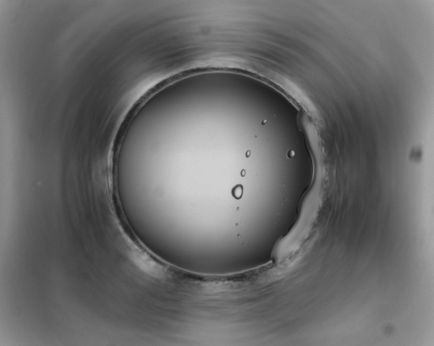 X0000102390988200808011556