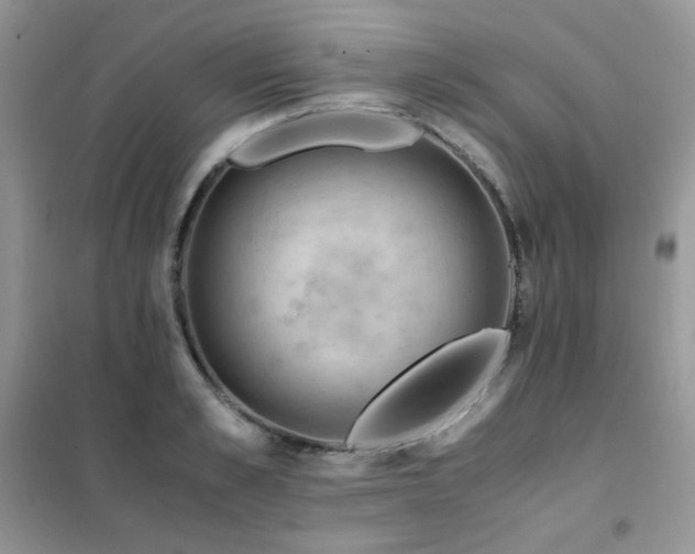 X0000102390989200808011556