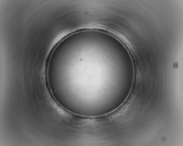 X0000102390990200808011556