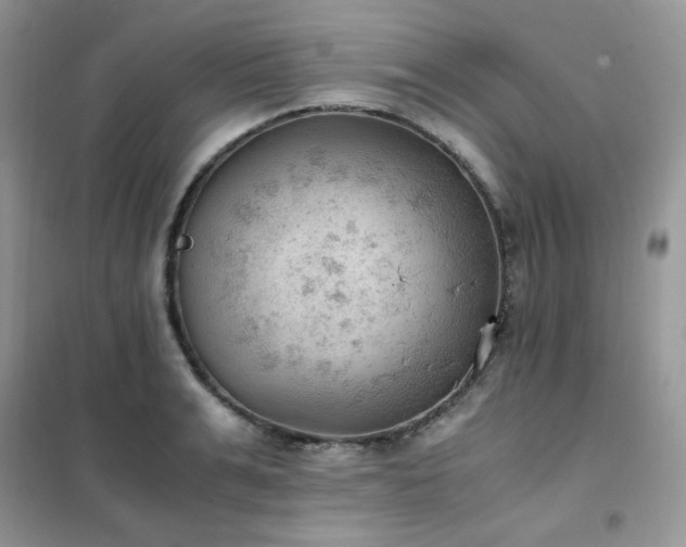 X0000102390991200808011556