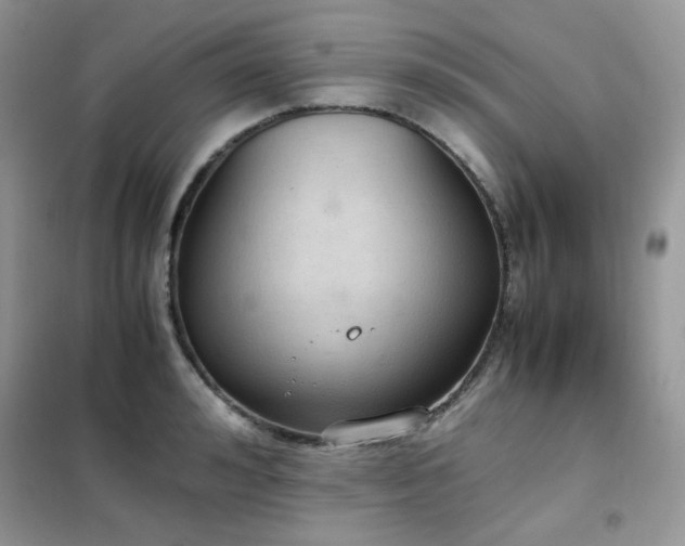 X0000102390992200808011556