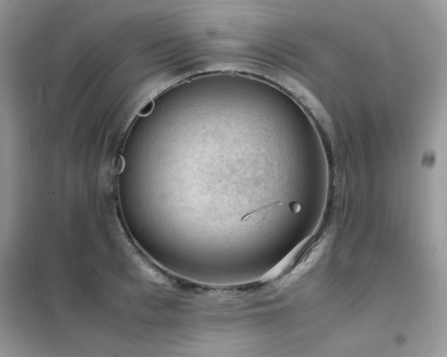 X0000102390993200808011556