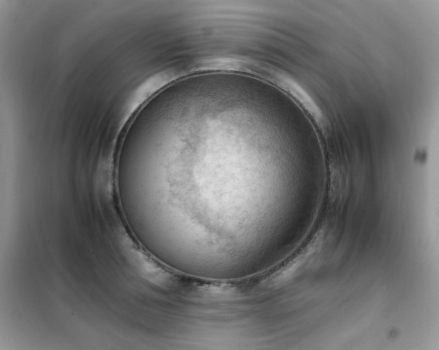 X0000102390994200808011556