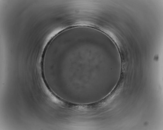 X0000102390995200808011556